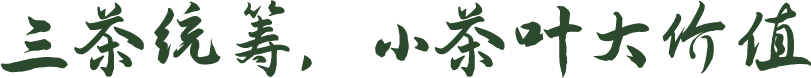 三茶统筹小茶叶大价值