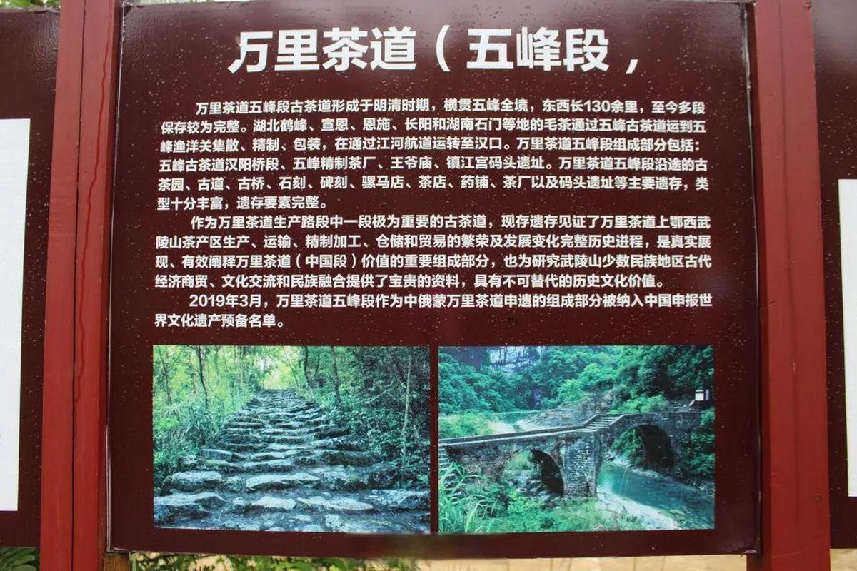 五峰万里茶道